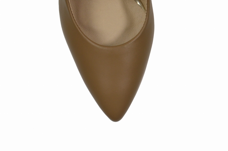 217 camel lico (5).JPG